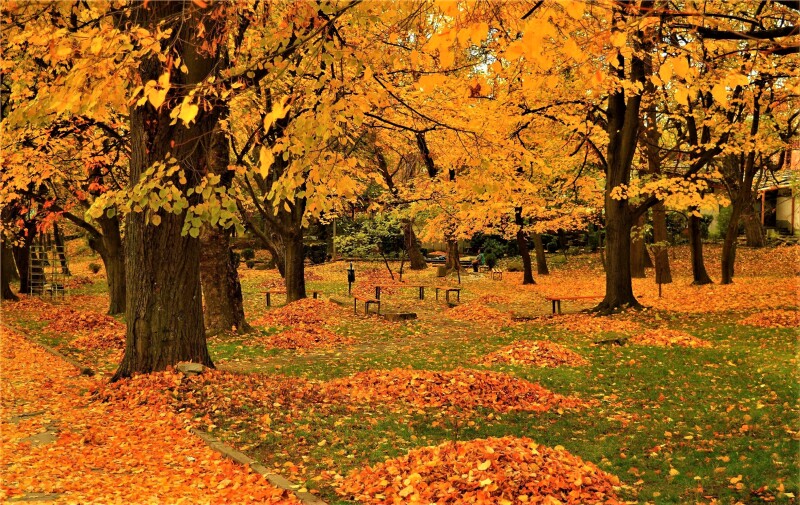 Bench_0264.jpg