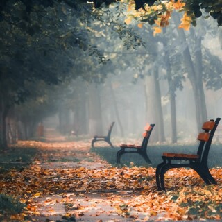 Bench_0289
