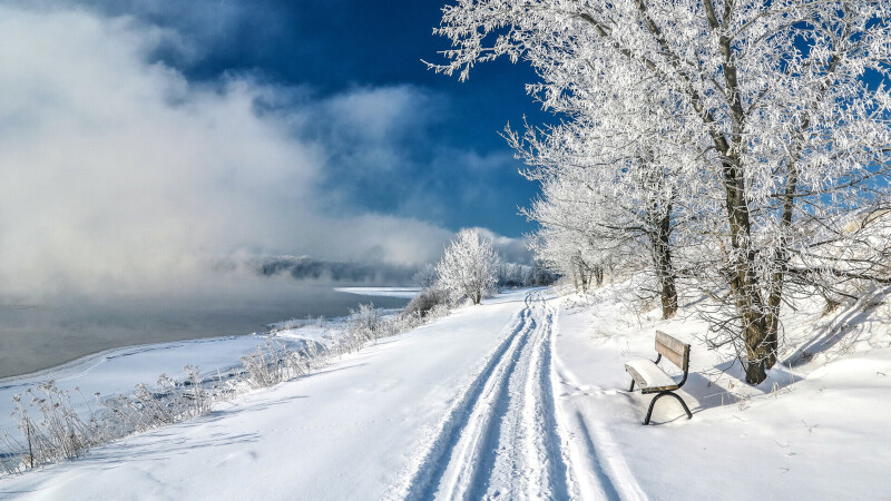 Bench_0295.jpg