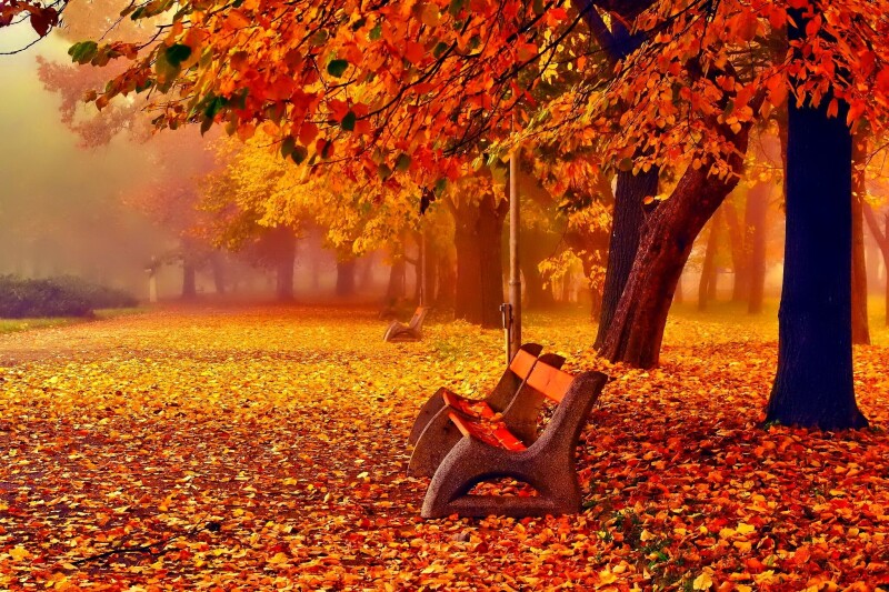 Bench_0296.jpg