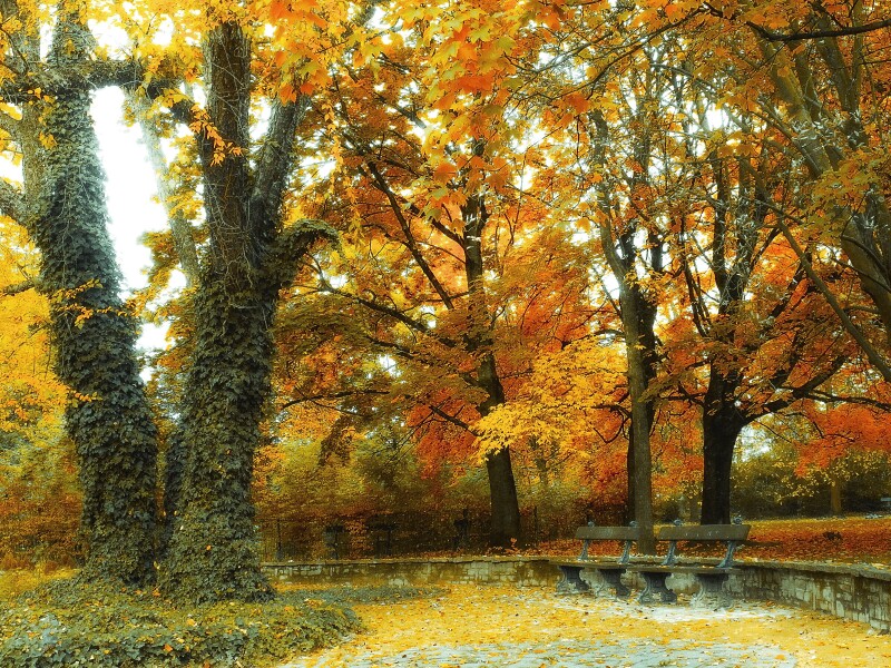 Bench_0372.jpg