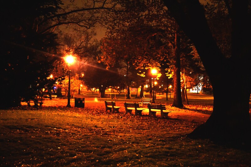 Bench_0377.jpg
