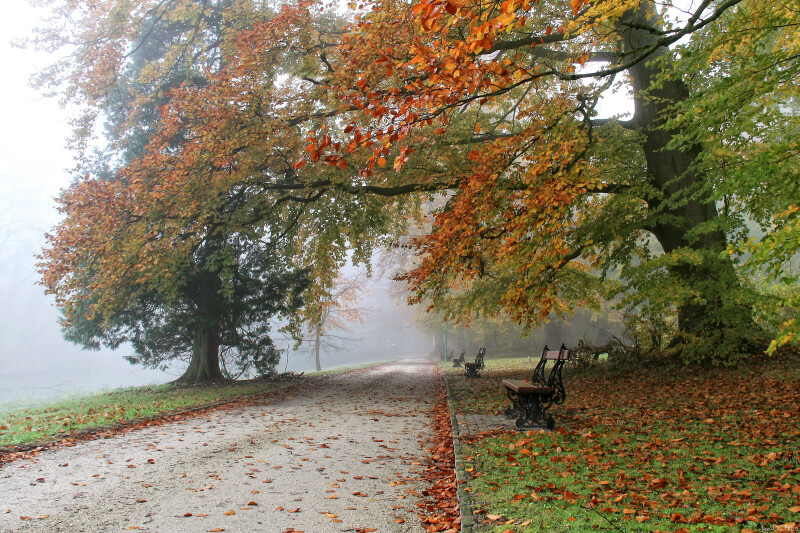 Bench_0408.jpg