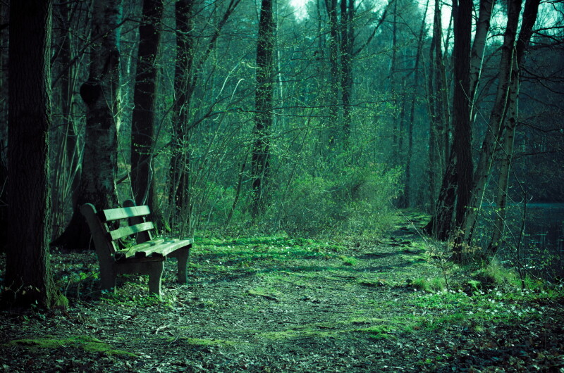 Bench_0416.jpg