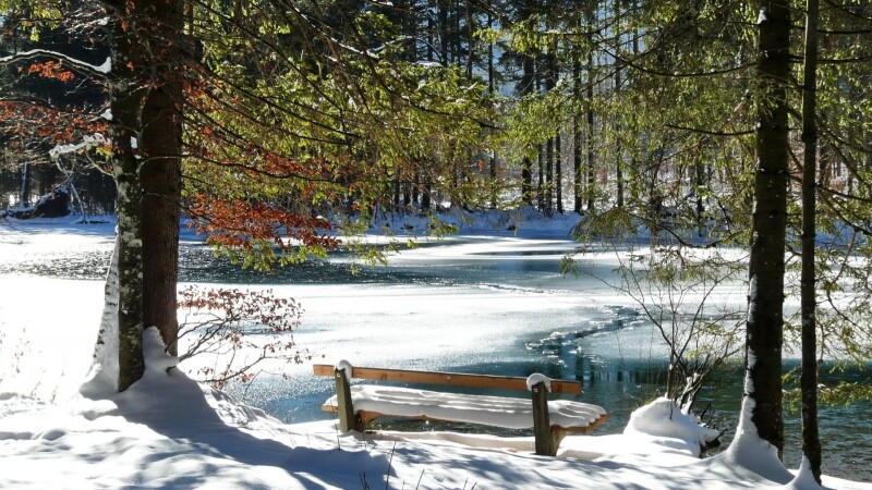 Bench_0455.jpg