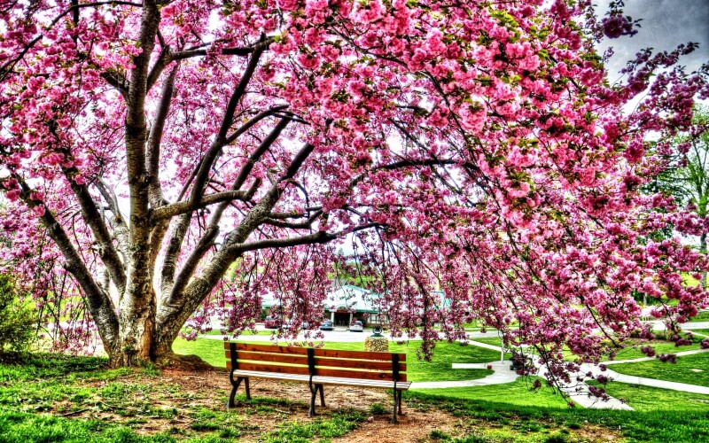 Bench_0486.jpg