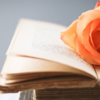 Book_0014