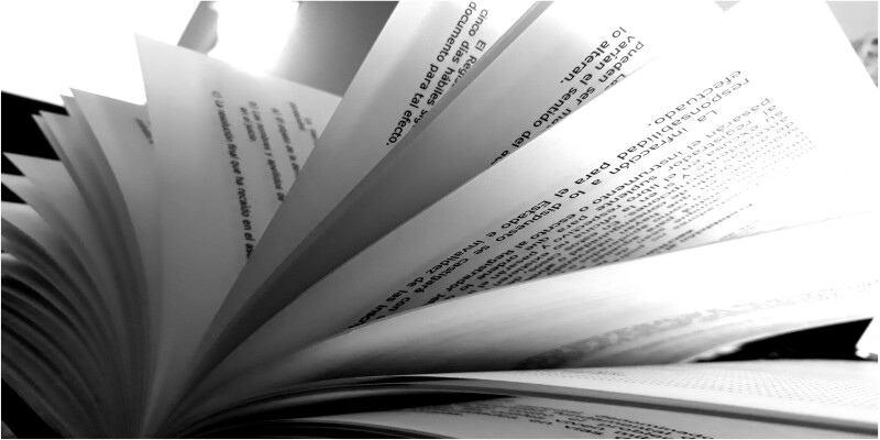 Book_0043.jpg