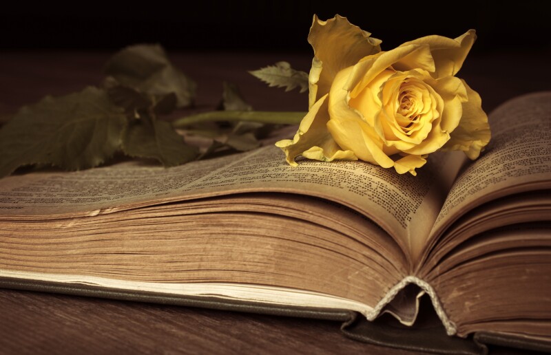 Book_0194.jpg