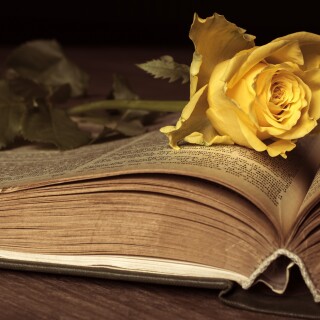 Book_0194
