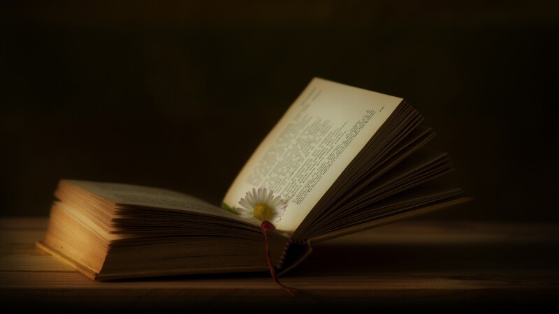 Book_0266.jpg
