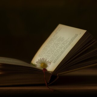 Book_0266