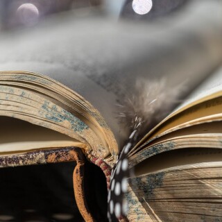 Book_0284