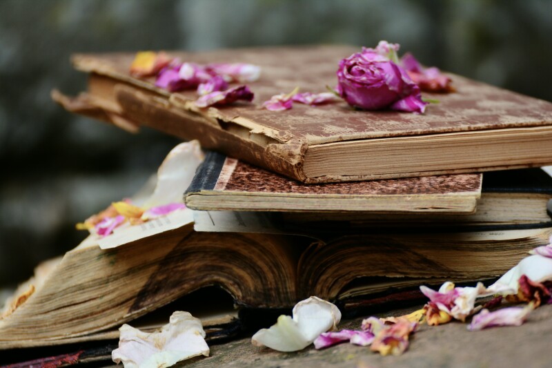 Book_0377.jpg