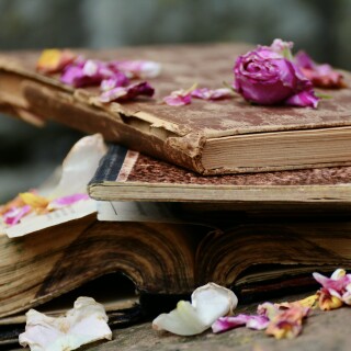 Book_0377