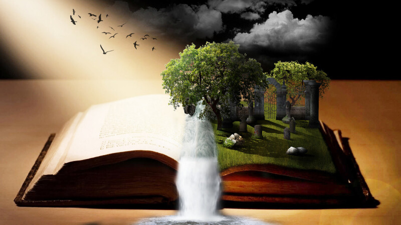 Book_0425.jpg