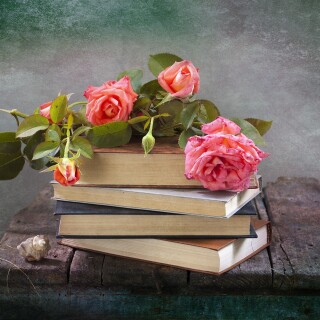 Book_0482