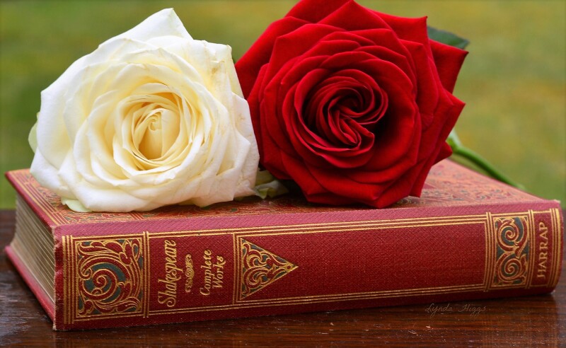 Book_0514.jpg