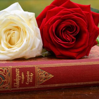 Book_0514