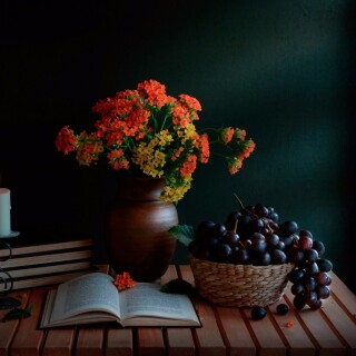 Book_0654