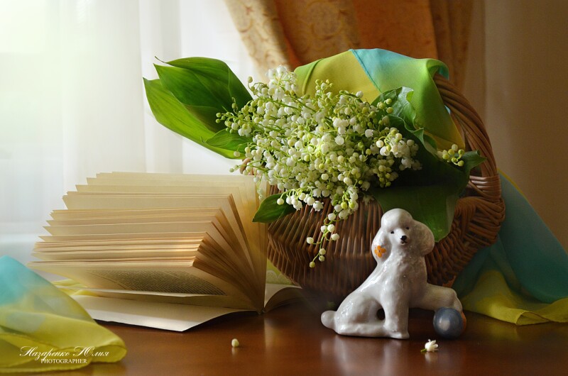 Book_0664.jpg