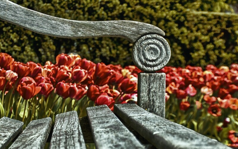 Bench_0376.jpg