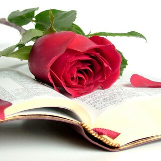 Book_0037