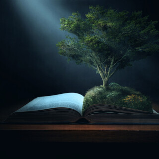 Book_0099