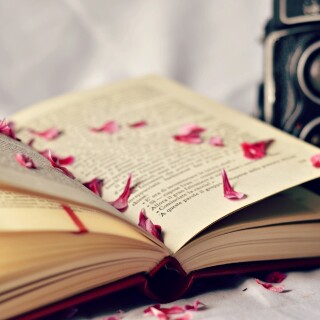 Book_0108