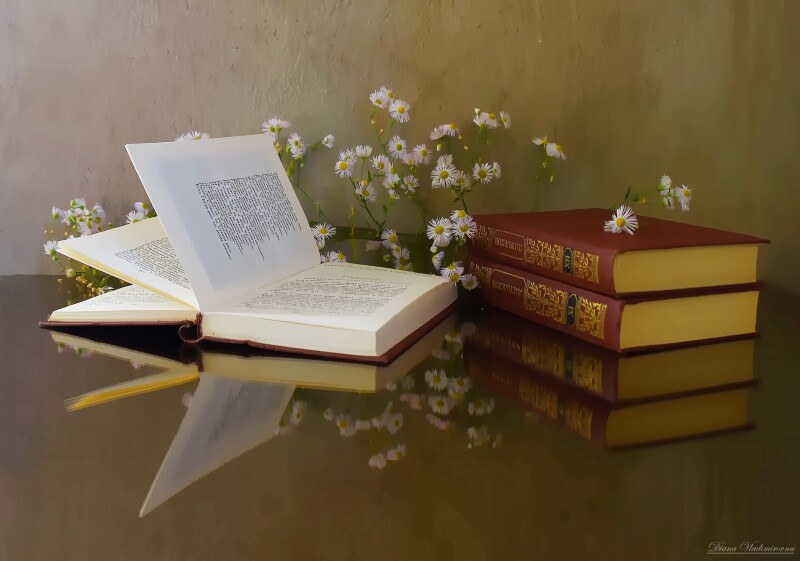 Book_0198.jpg