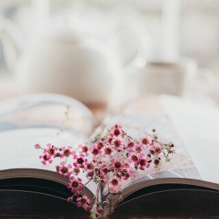 Book_0272