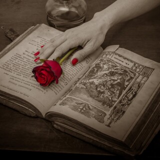 Book_0398