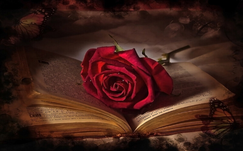 Book_0481.jpg