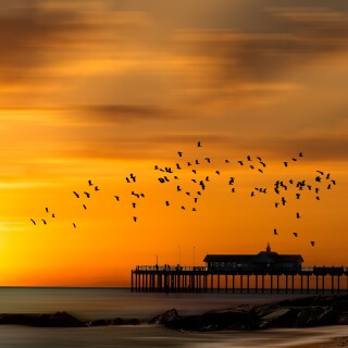 Pier_0001