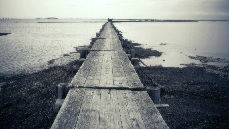 Pier_0124.jpg