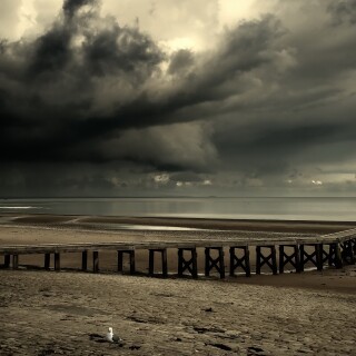 Pier_0284