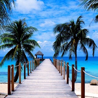 Pier_0555