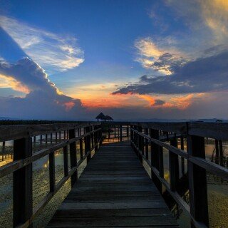 Pier_0090