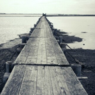 Pier_0124