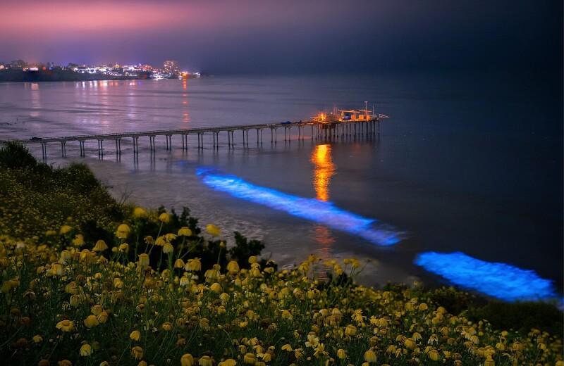 Pier_0189.jpg