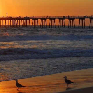 Pier_0269