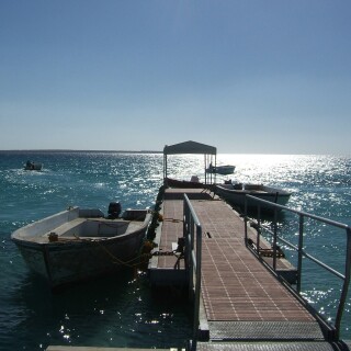 Pier_0337