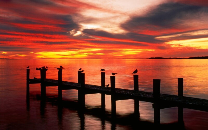 Pier_0528.jpg