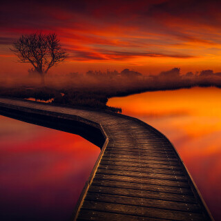 Pier_0535