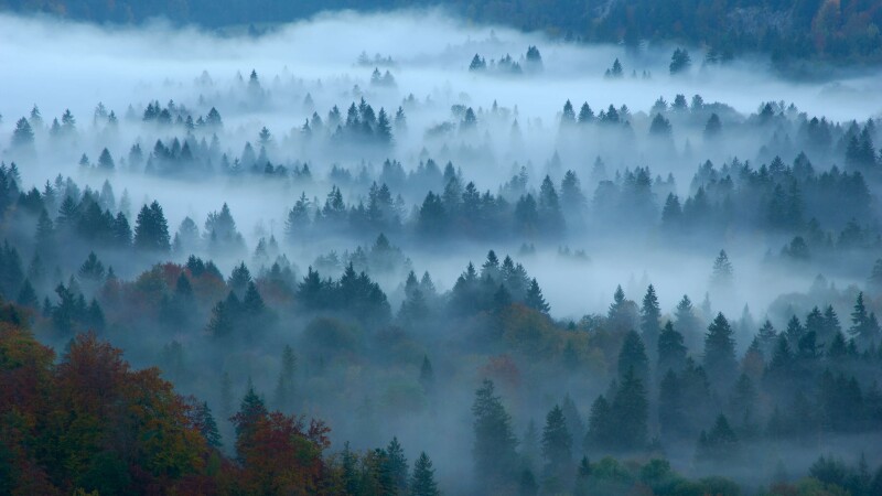 Germany_0149.jpg