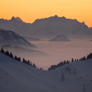 Germany_0515