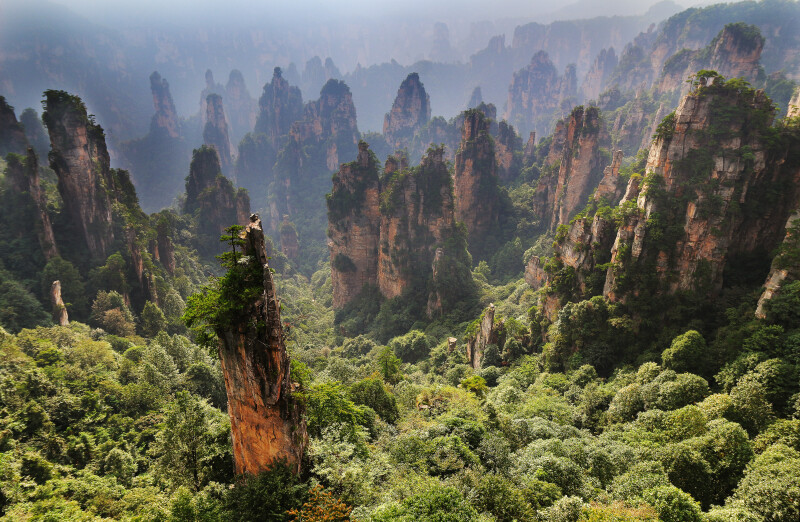 China_0168.jpg