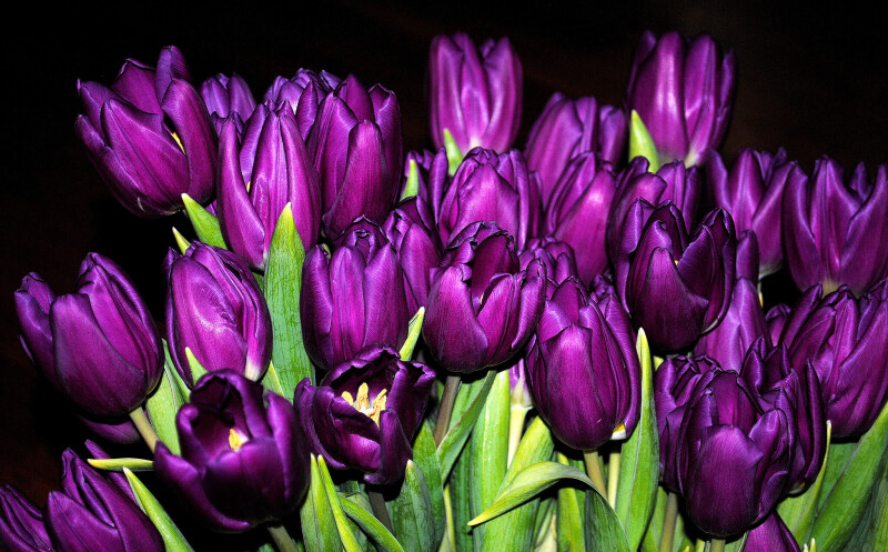 Bouquet_0070.jpg