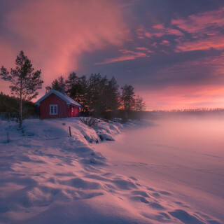 Cabin_0259