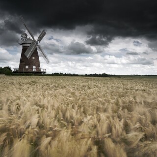 Windmill_0311